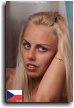 Sonnett